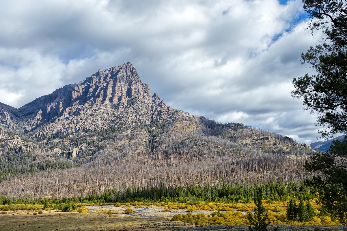 Double Cabin Wyoming