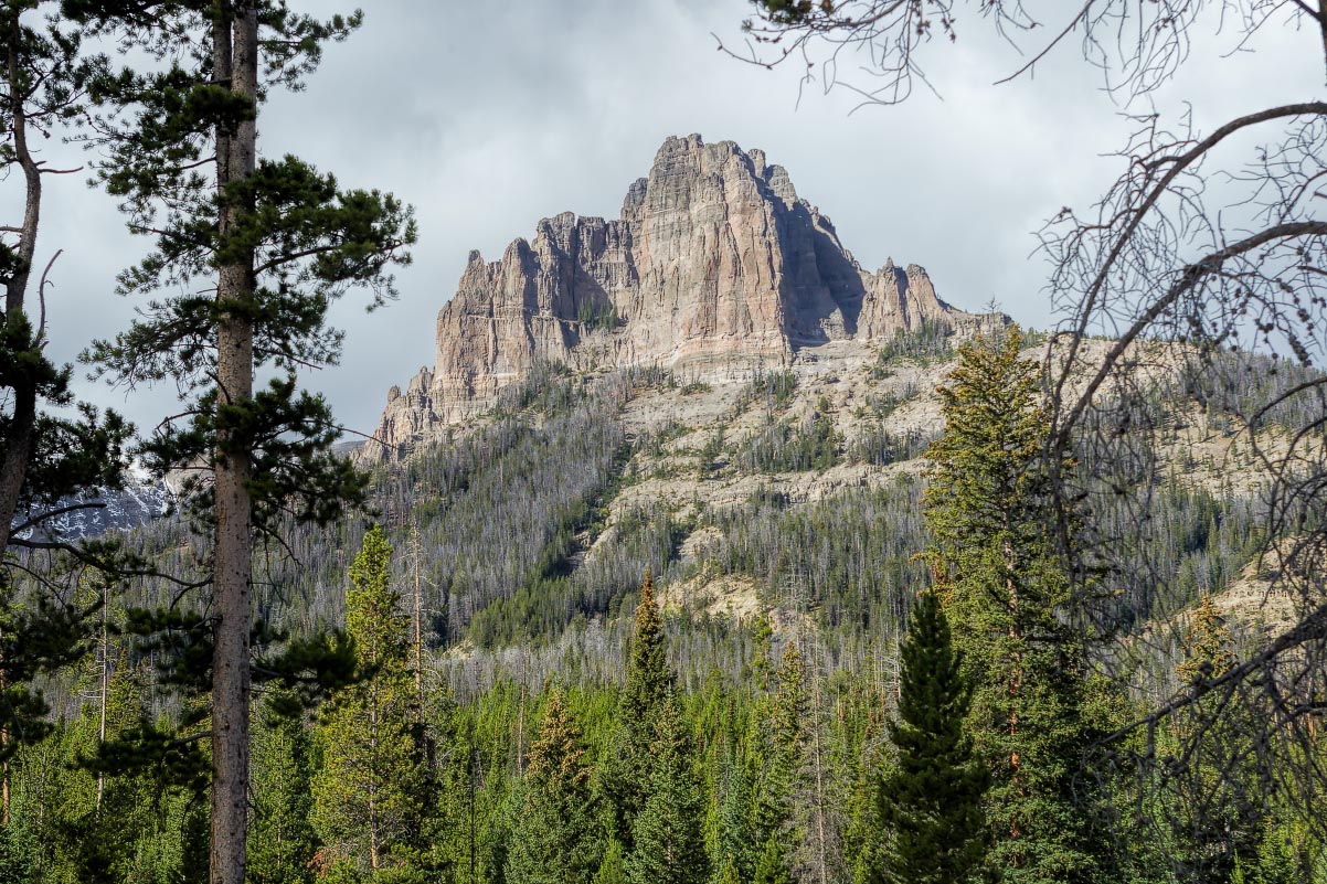 Double Cabin Wyoming