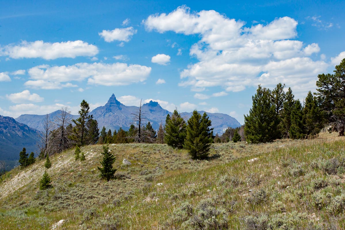 Pilot and Index Peaks Wyoming