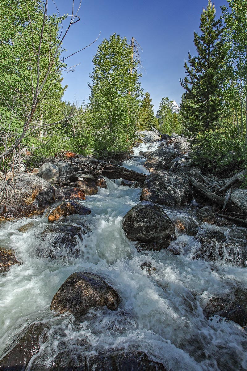 Along Taggart Lake Trail Grand Teton National Park Wyoming