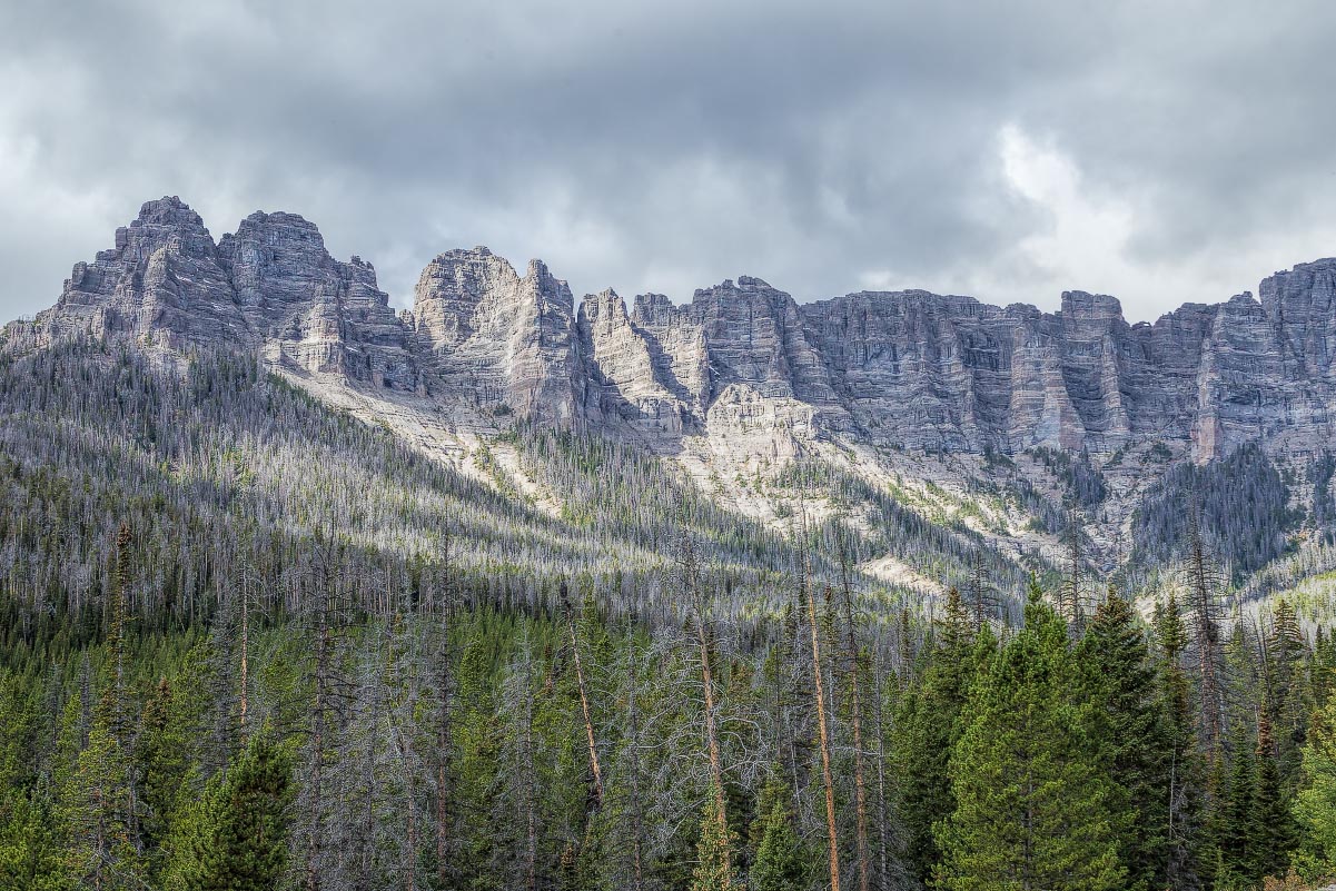 Double Cabin Wyoming