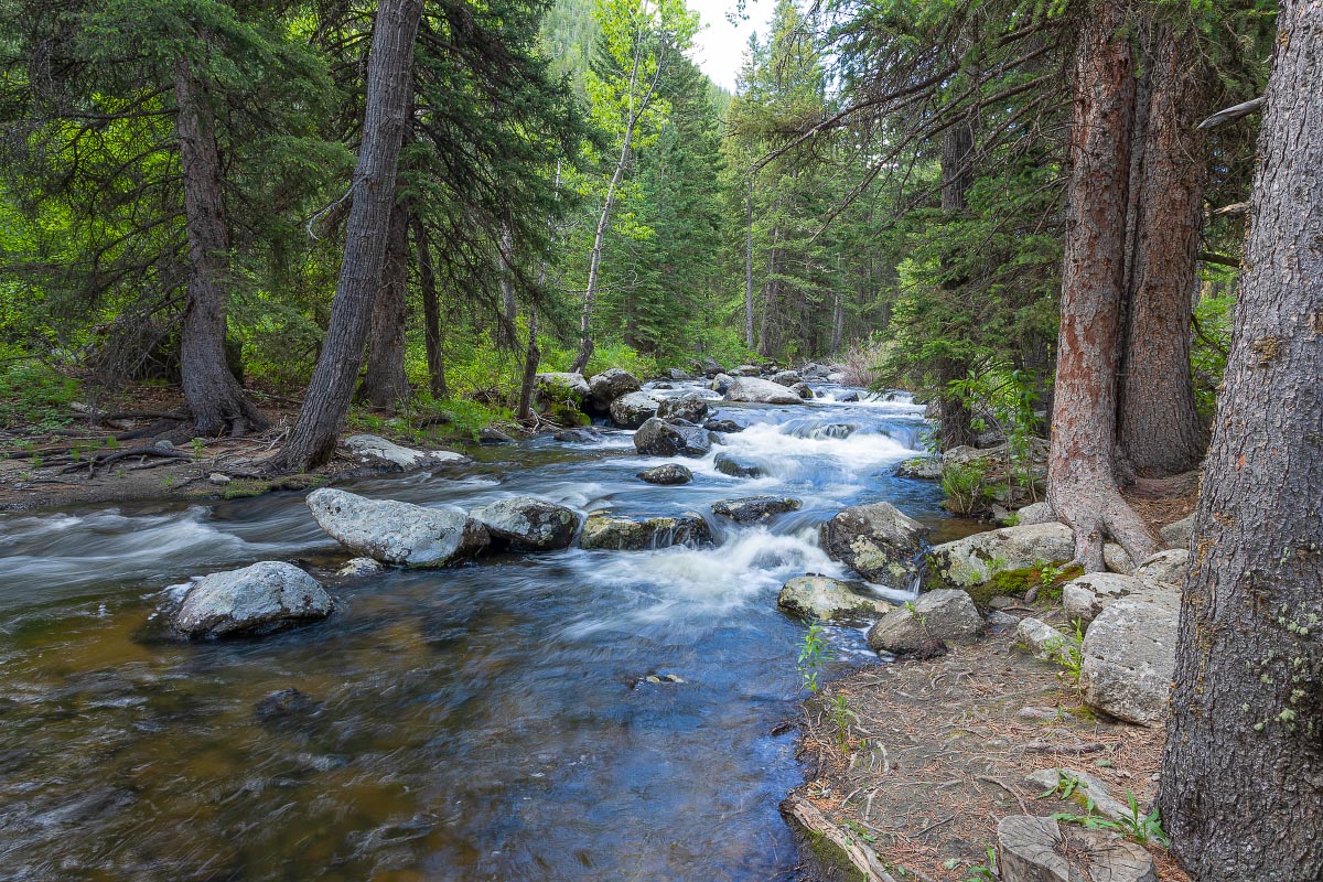 Middle Clear Creek Big Horn Mountains Wyoming