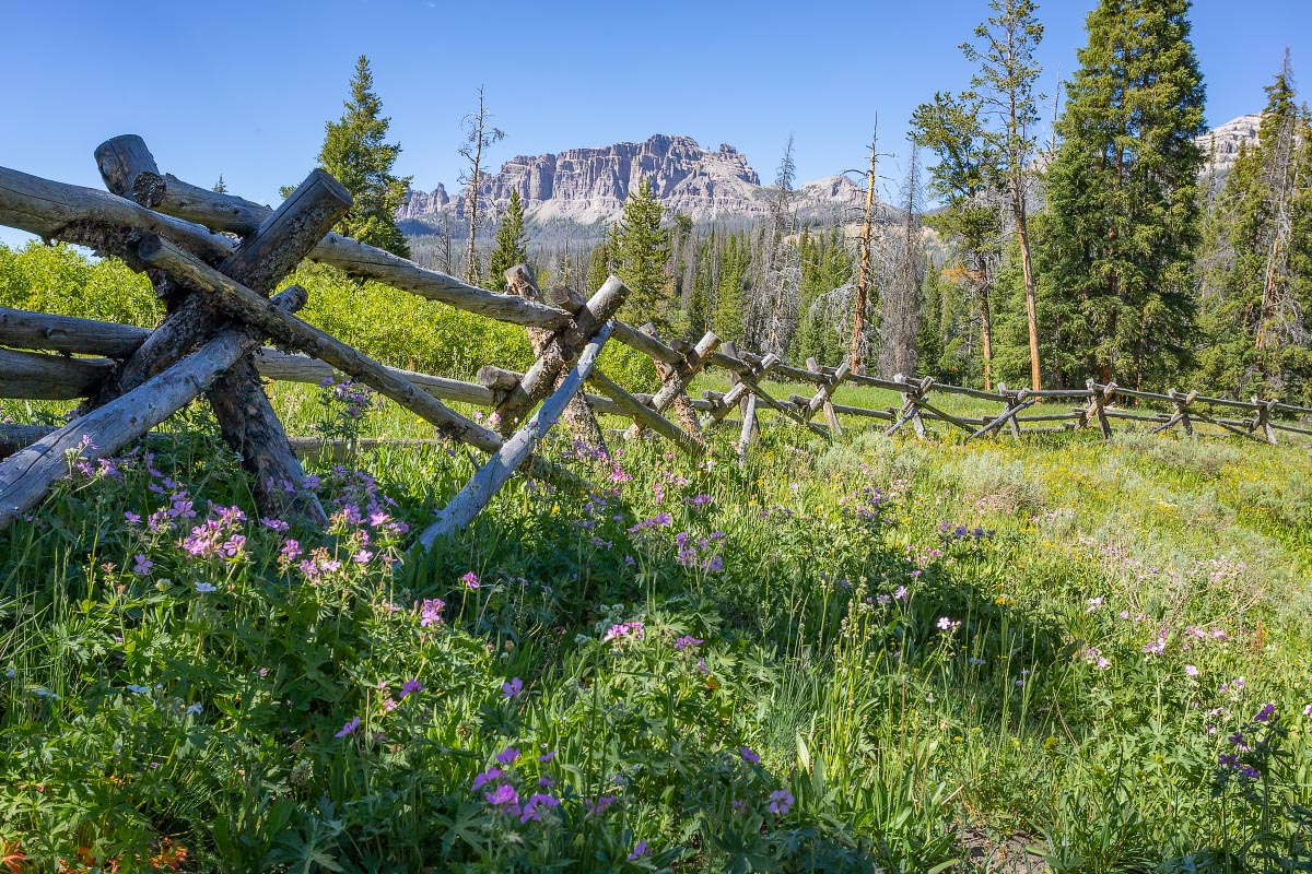 Falls Campground Wyoming
