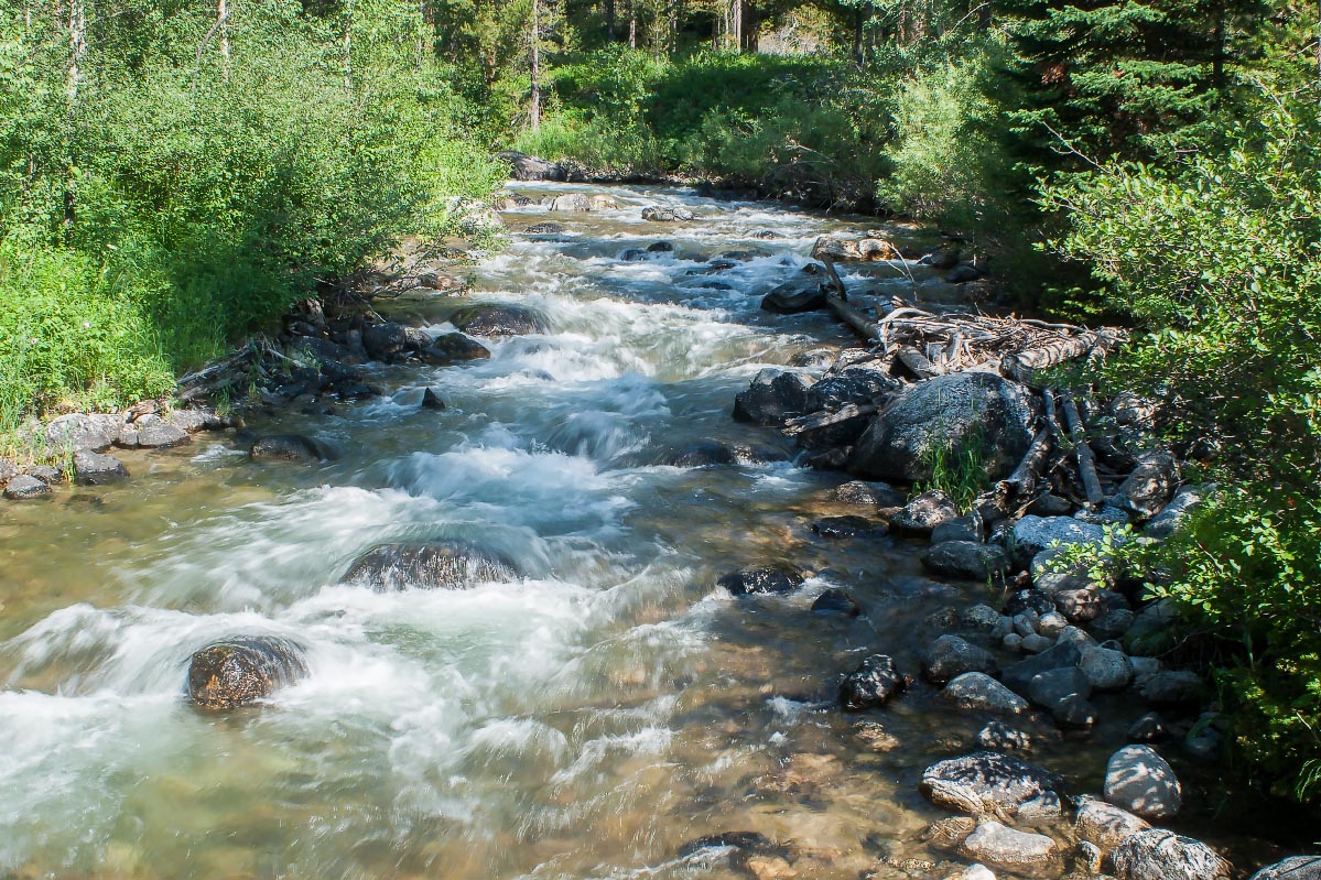 Lake Creek Grand Teton National Park Wyoming