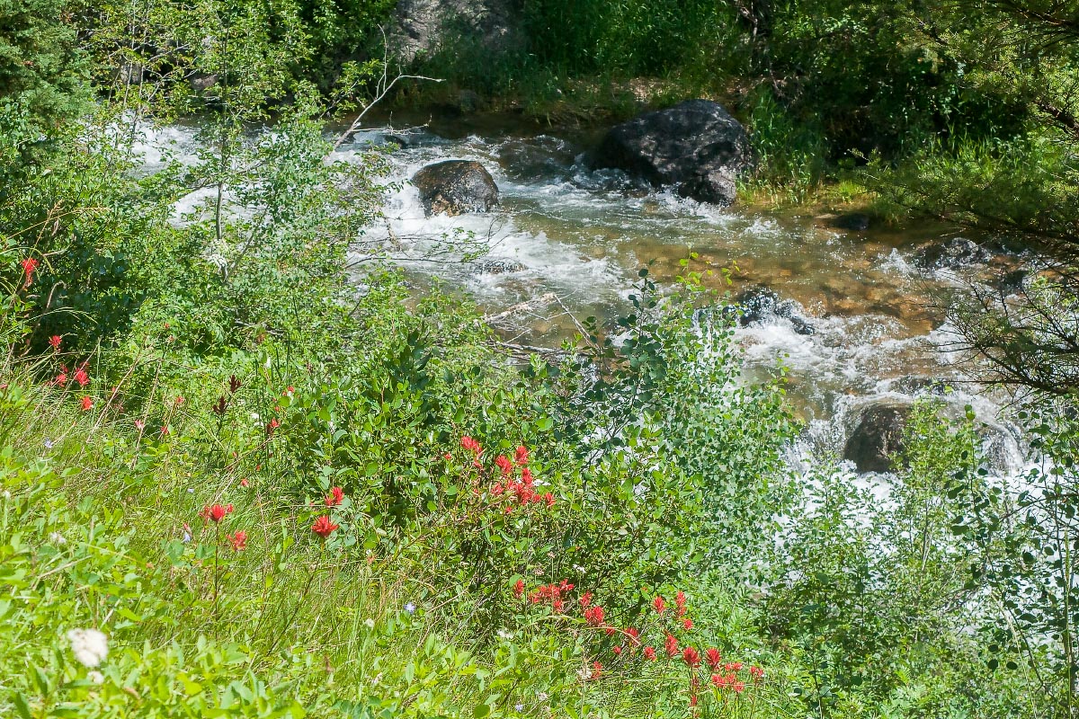 Lake Creek Grand Teton National Park Wyoming