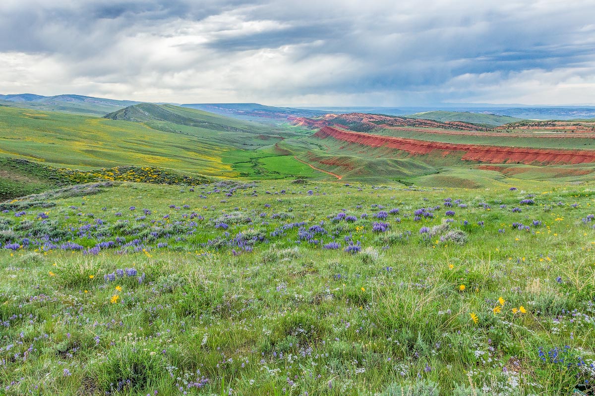 Red Canyon Wyoming