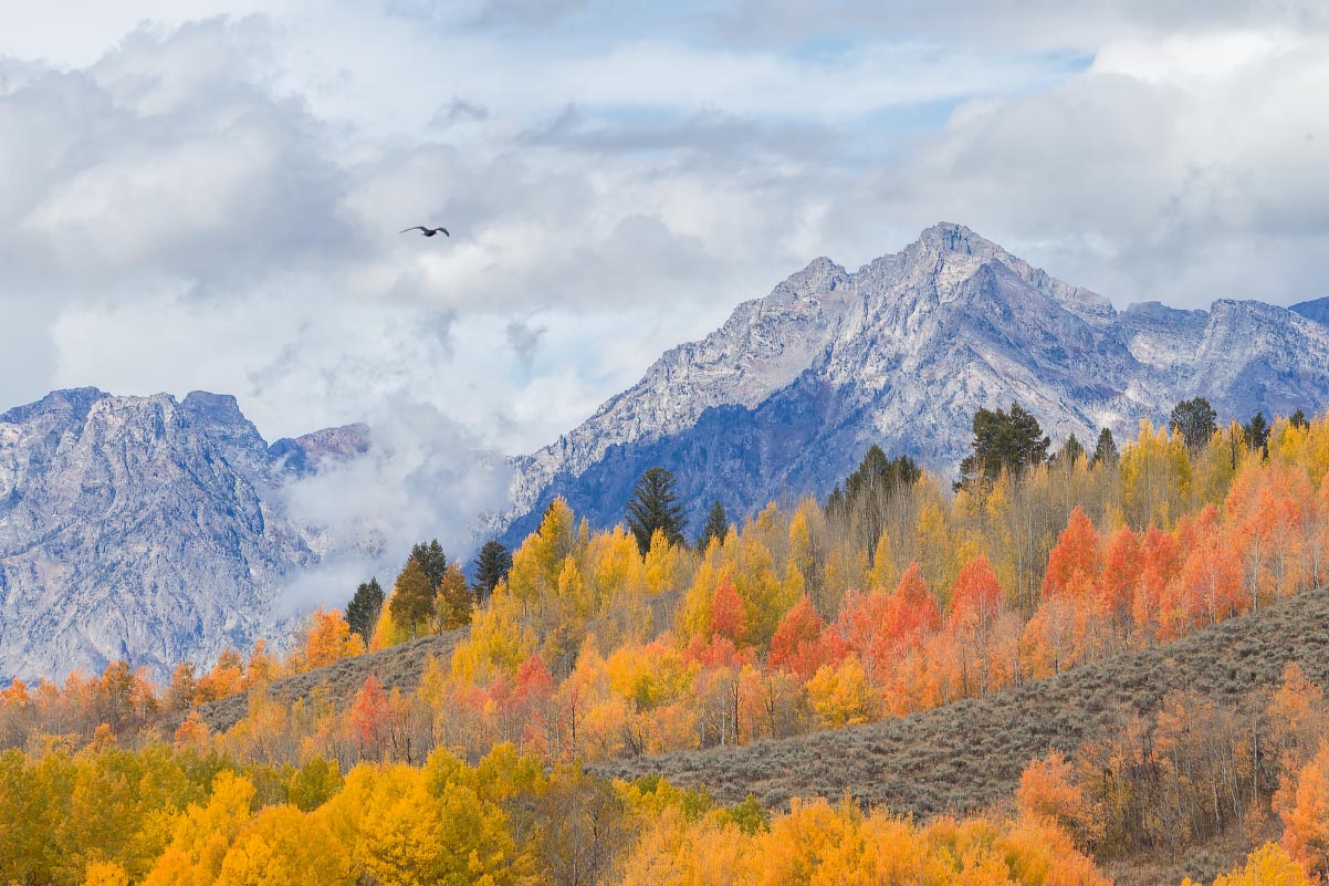 Oxbow Bend Grand Teton National Park Wyoming