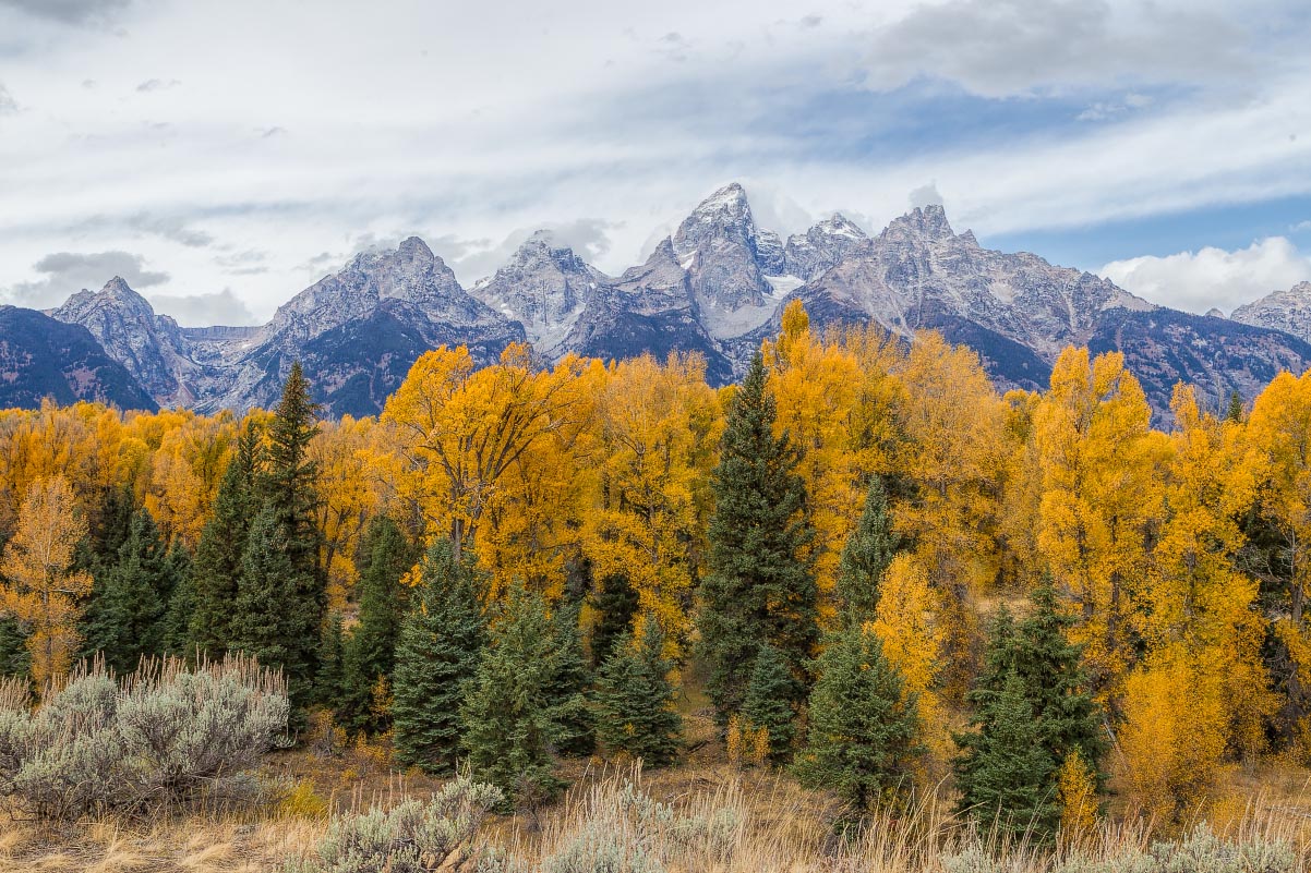 Schwabacher Landing Grand Teton National Park Wyoming