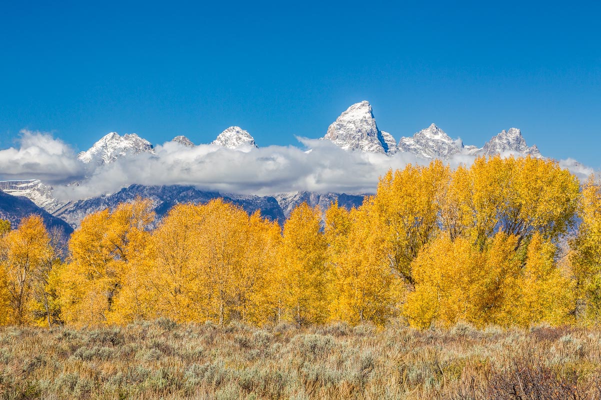 Grand Teton National Park Wyoming