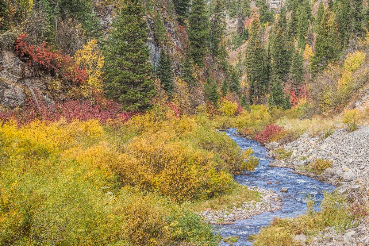 Swift creek Canyon Wyoming