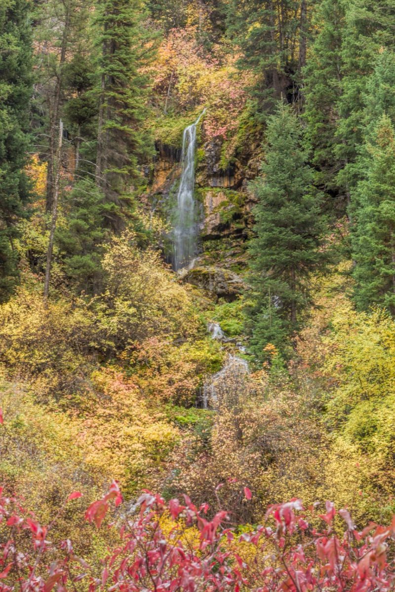 Shawnee Falls Swift creek Canyon Wyoming