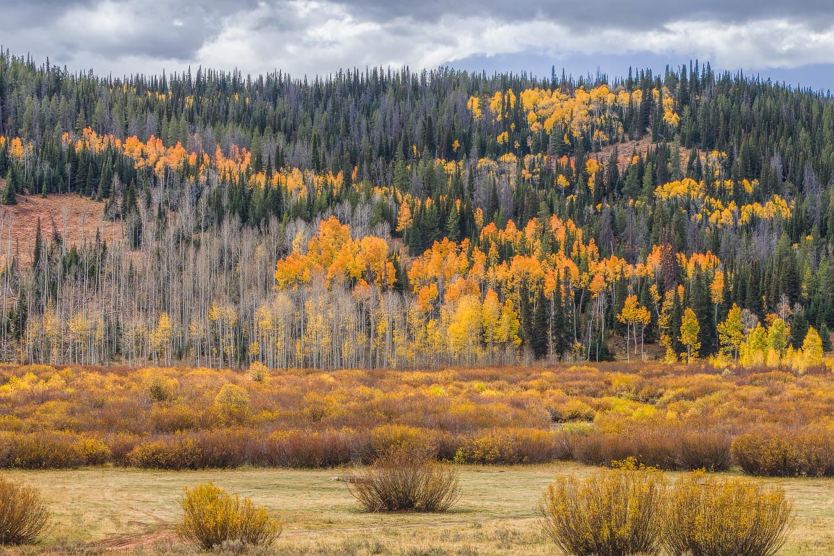 Big Spring Scenic Backway Wyoming