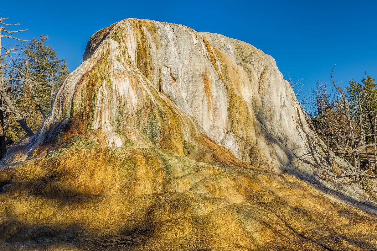 Orange Spring Mound Mammoth Hot Springs Yellowstone Wyoming