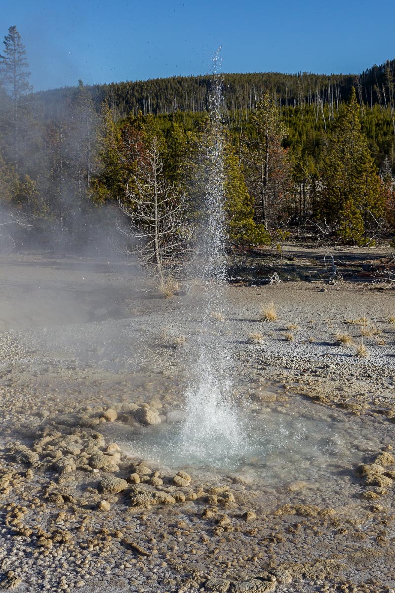 Vixen Geyser Yellowstone Wyoming