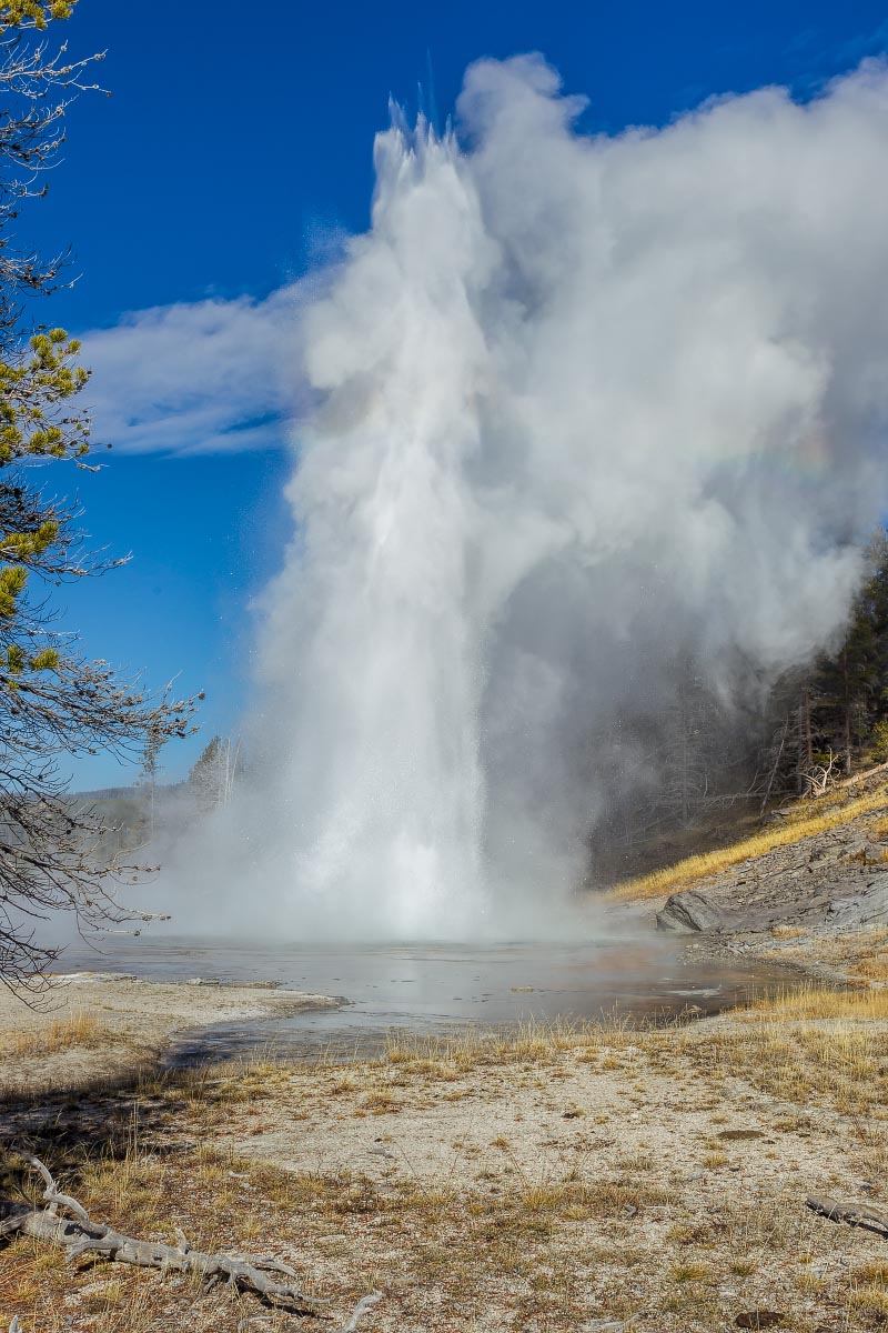 Yellowstone Wyoming