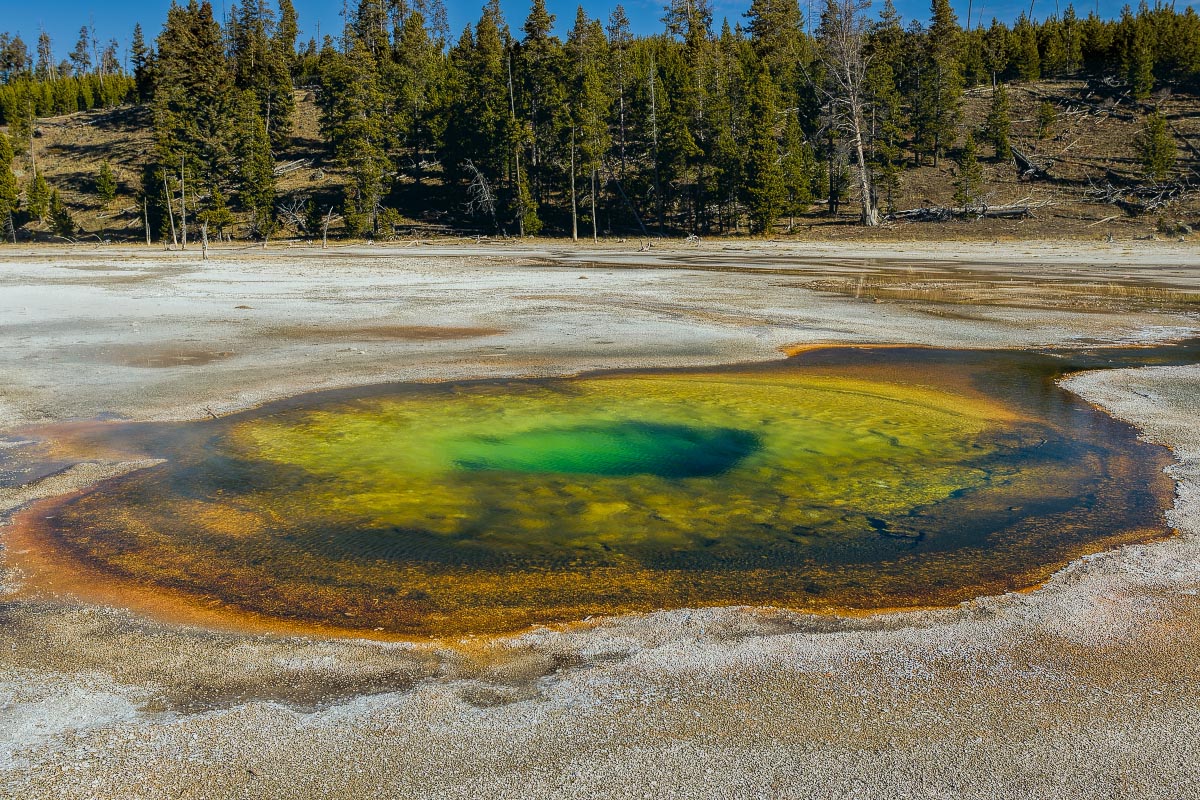 Yellowstone Wyoming