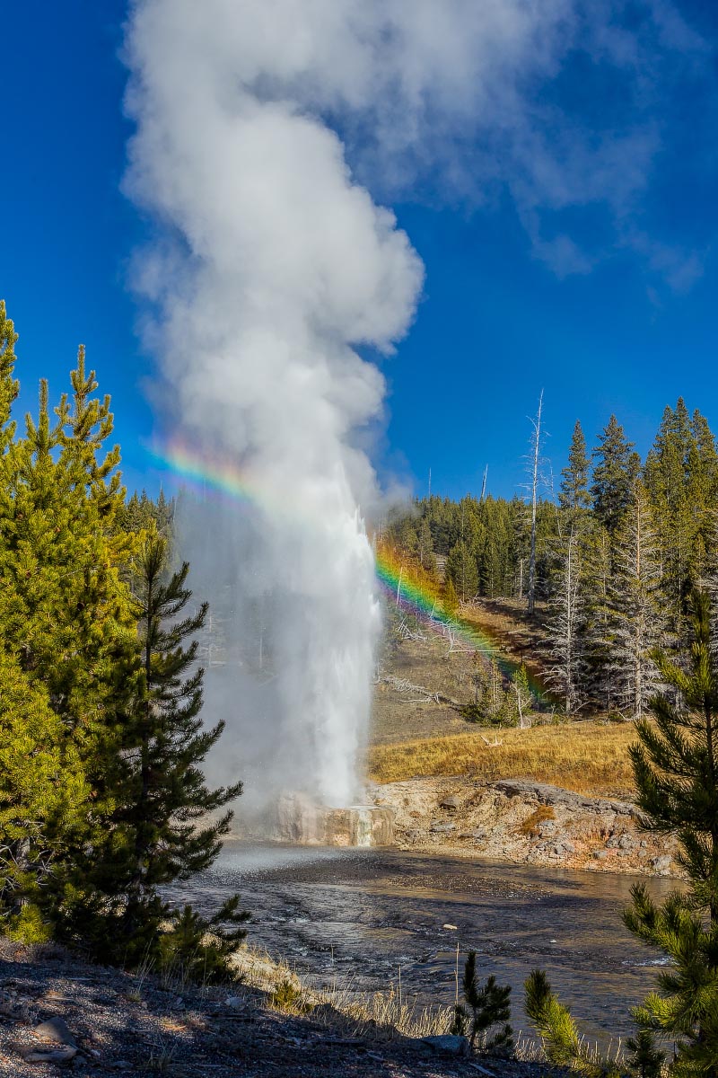 Yellowstone Wyoming