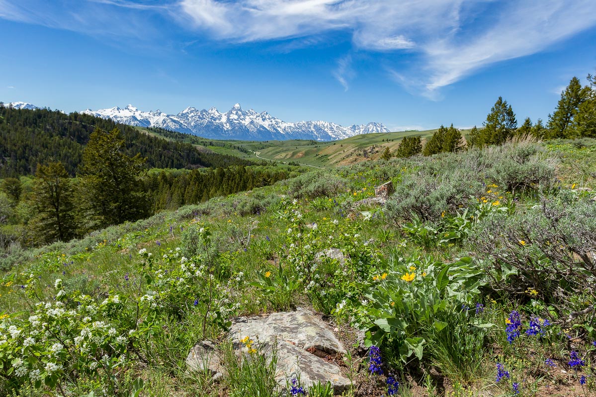 Tetons from Wedding Trees Wyoming