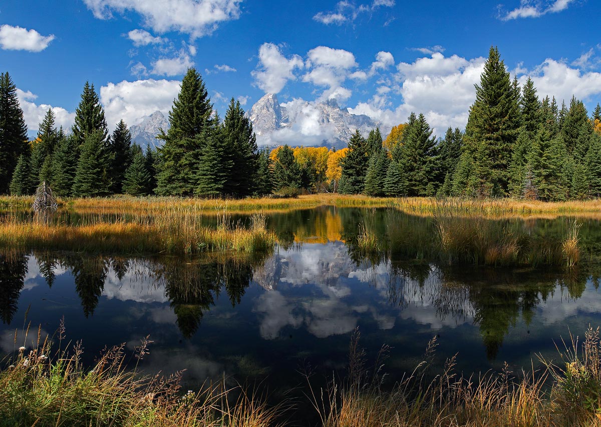 Schwabacher Landing Grand Teton National Park Wyoming