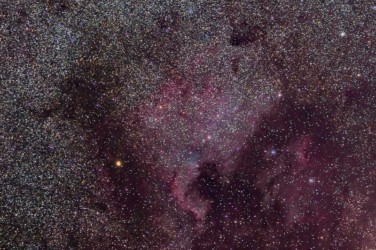 North American Nebula North American Nebula